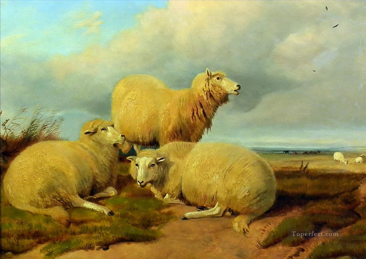 ovejas en la pradera Pintura al óleo
